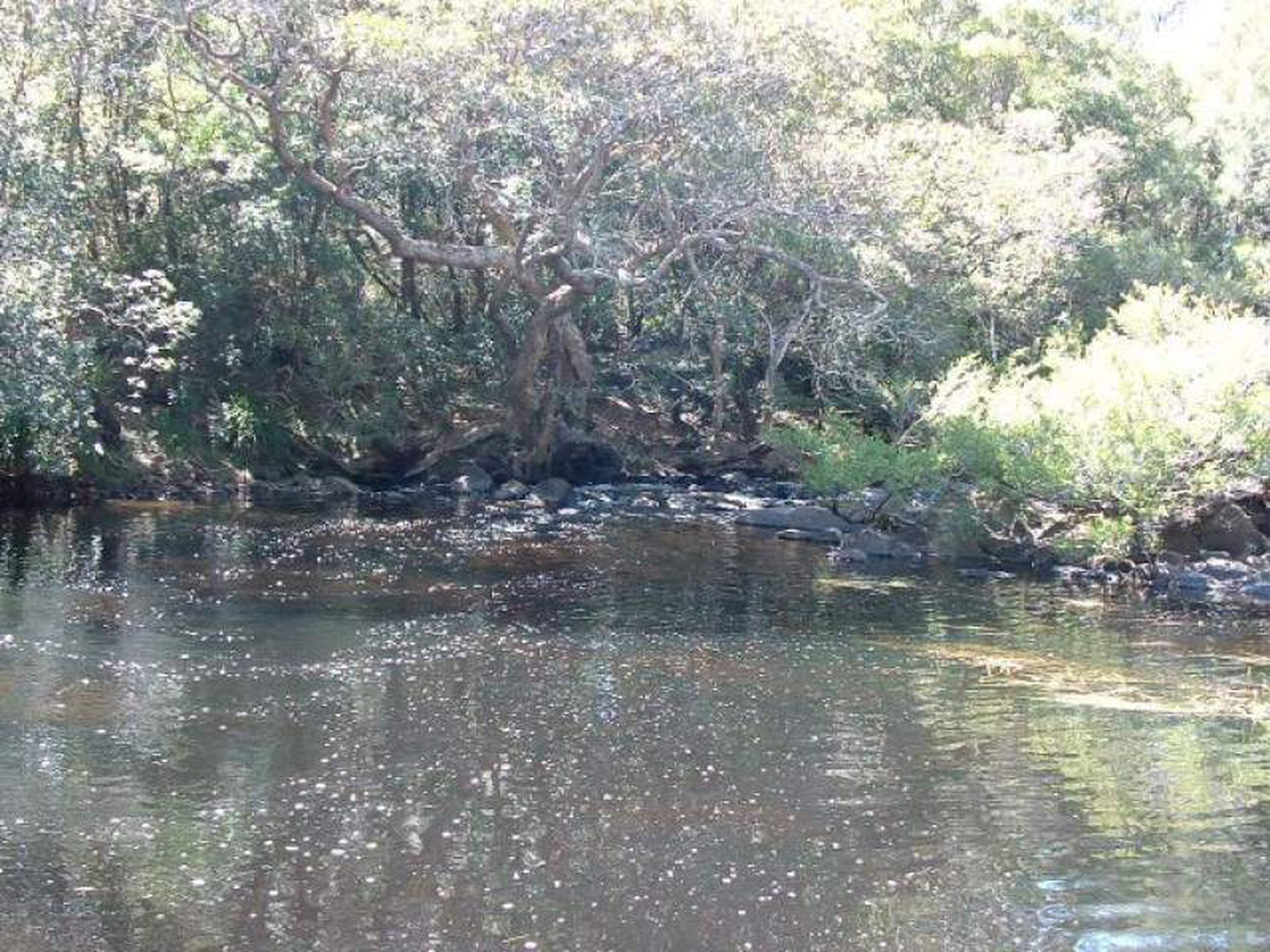 22 River Road, Brooman