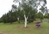 97 Watson Street, Molong