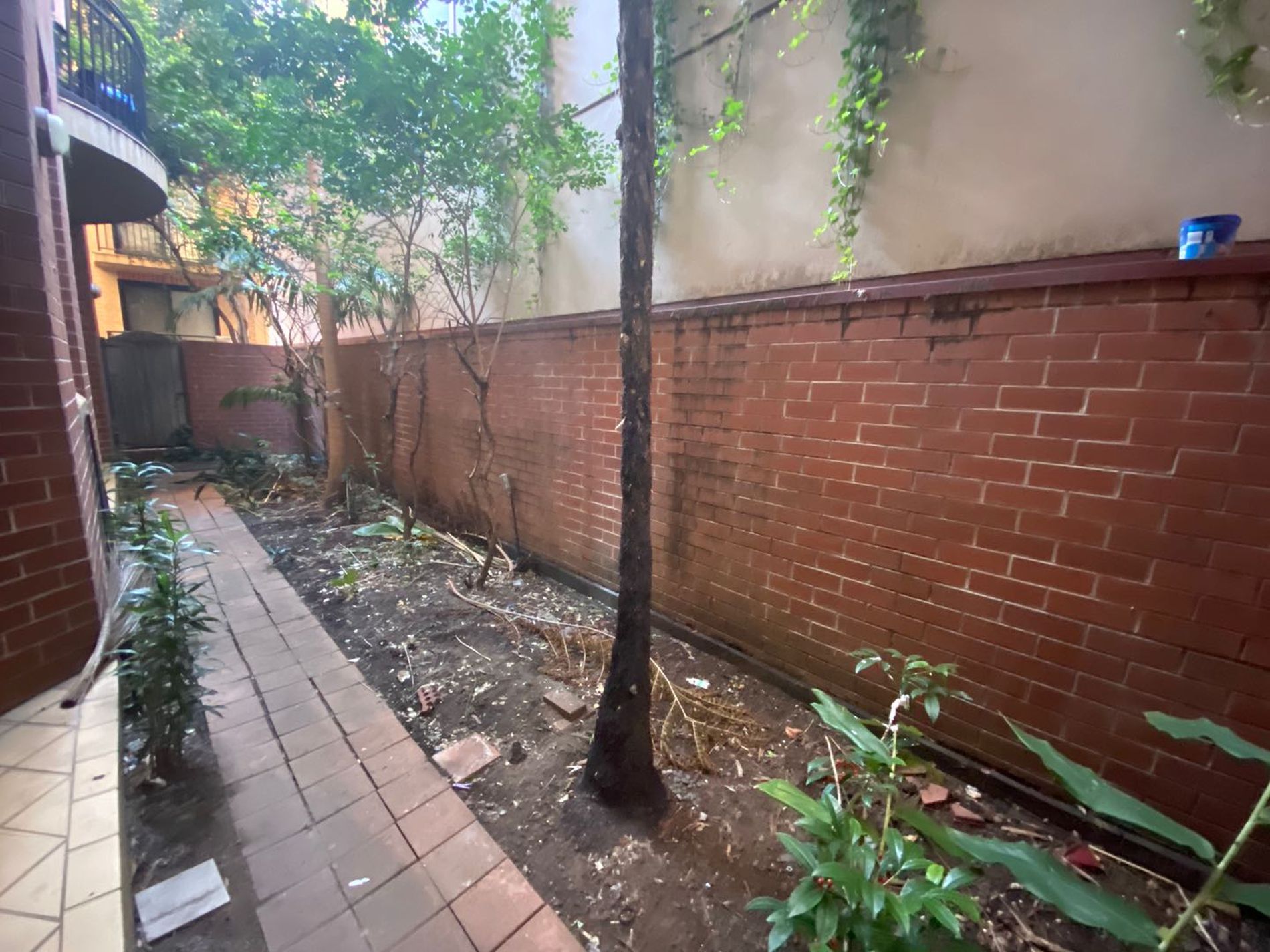 G11 / 199 Pyrmont Street , Pyrmont