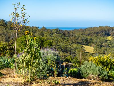 9052 Princes Highway, Tilba Tilba