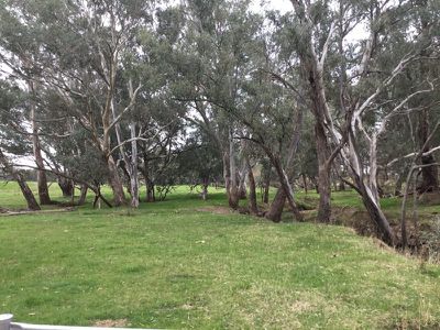 709 Indigo Creek Road, Indigo Valley