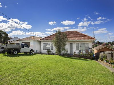 29 Minnegang Street, Warrawong