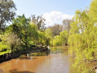 51 Welumba Creek Road, Greg Greg