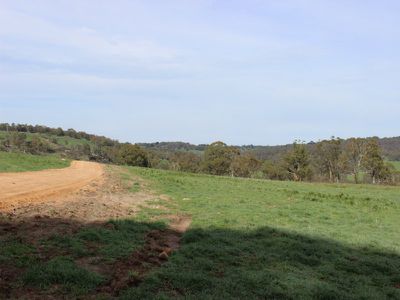 Jerry's Falls Road, Sodwalls