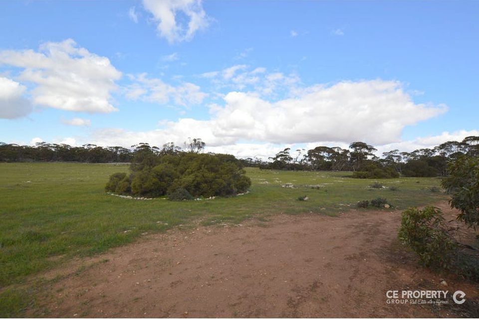 19 Goondooloo Road, Bowhill