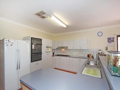 83 Campbell Street, Lamington