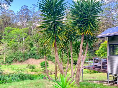 43 / 4505 Kyogle Road, Wadeville