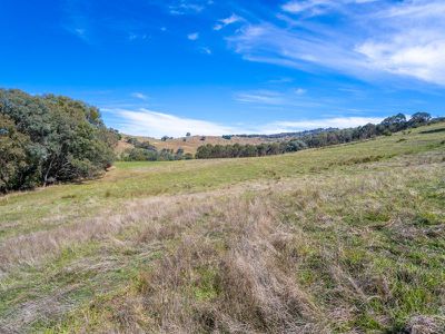 LP 134125 Omeo Highway, Tallangatta