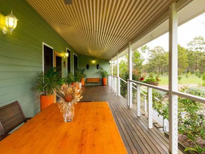 Blackbutt