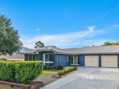 17 Coconut Drive, North Nowra