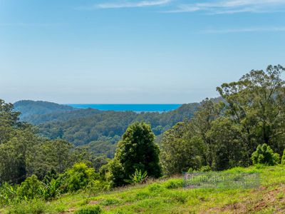 134 Snake Gully Road, Upper Burringbar