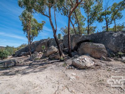 Lot 104, 1768 Silent Grove Road, Silent Grove