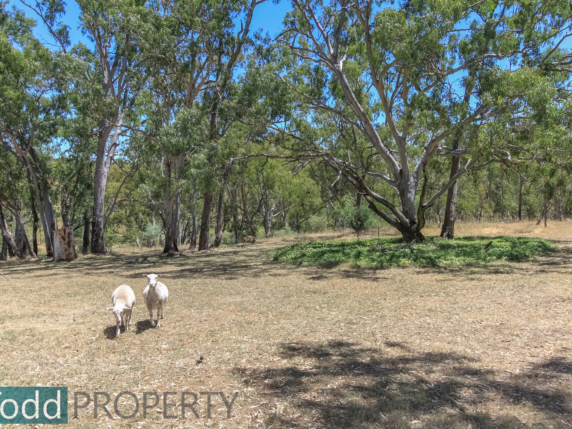 655 Spring Flat Road, Heathcote