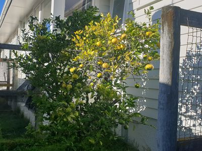 39 Redwood Avenue, Tawa