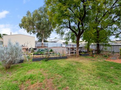 75 Lewis Street, Lamington