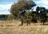 Lot 3, 2903 Burrendong Way, Kerrs Creek