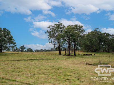 4291 Pinkett Road, Glen Innes