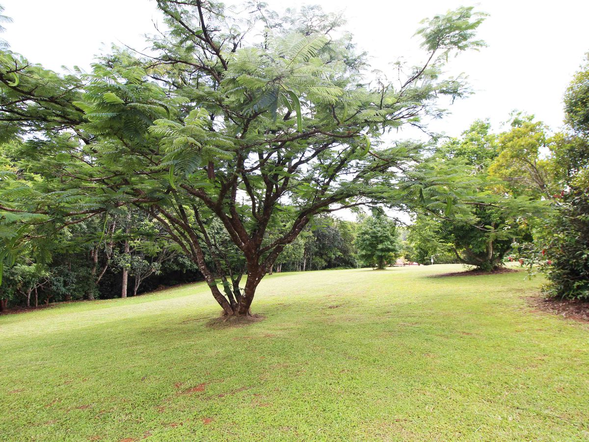 64 Sheehan Road, Tarzali