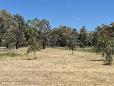 Lot 1, Irwin Street, Violet Town