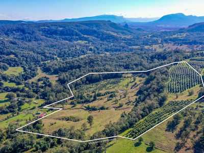 1740  Nimbin Road, Koonorigan