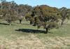 Lot 3 Reyfield Drive, Orange