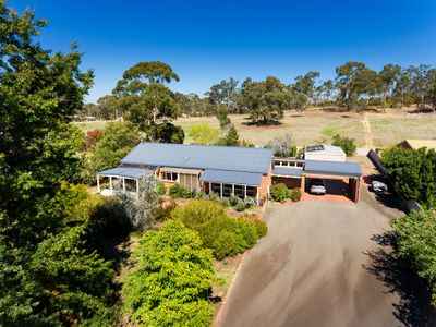 Agent Profile Cantwell Property Castlemaine