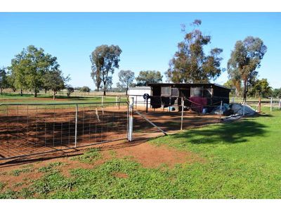240 WANDOBAH Road, Gunnedah