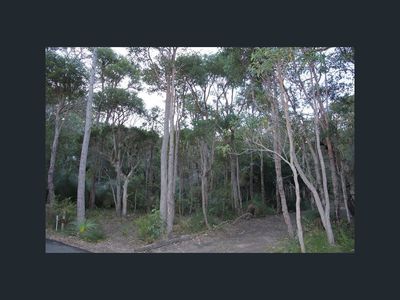 7  Fairlawn Place , Molloy Island