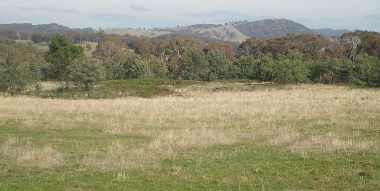 Bonnie Doon Road, Strathbogie