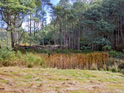 184 Golden Valley Road, Cygnet