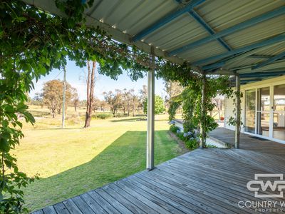 391 Carrot Farm Road, Deepwater