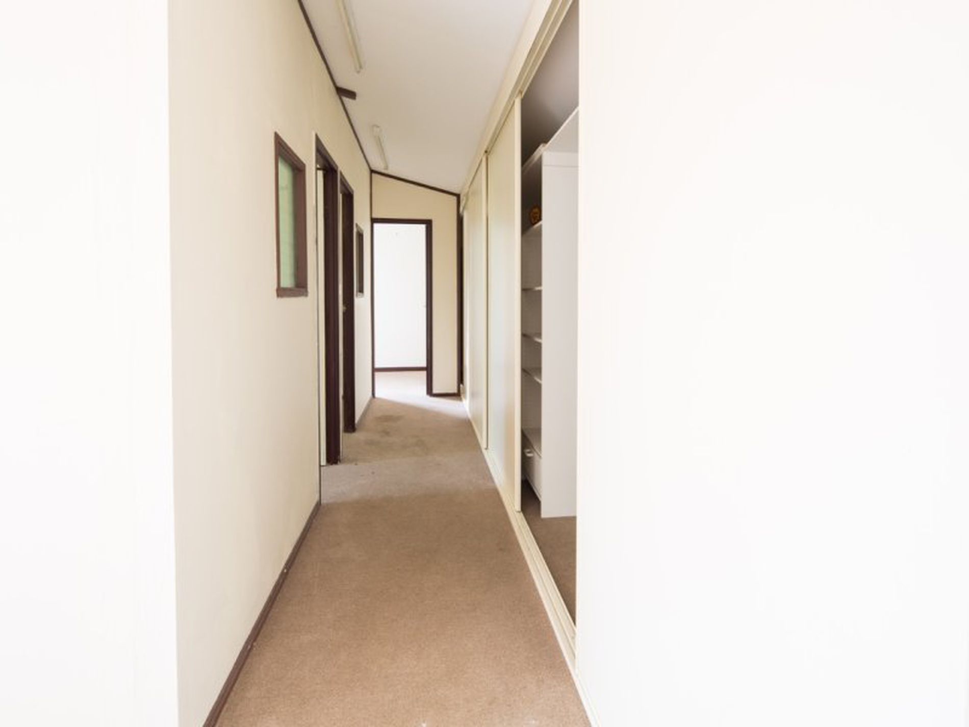 19 Salvador Street, Flagstaff Hill