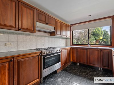 49 Birchwood Boulevard, Deer Park