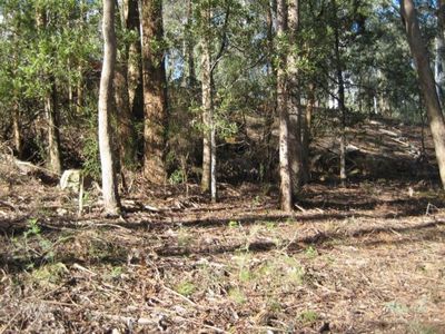 44 Christensen Street, Sawmill Settlement