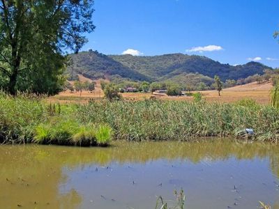 219 Ogunbil Road, Tamworth