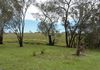 363 Bournewood Road, Cumnock