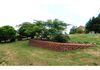 81 Torulosa Way, Orange