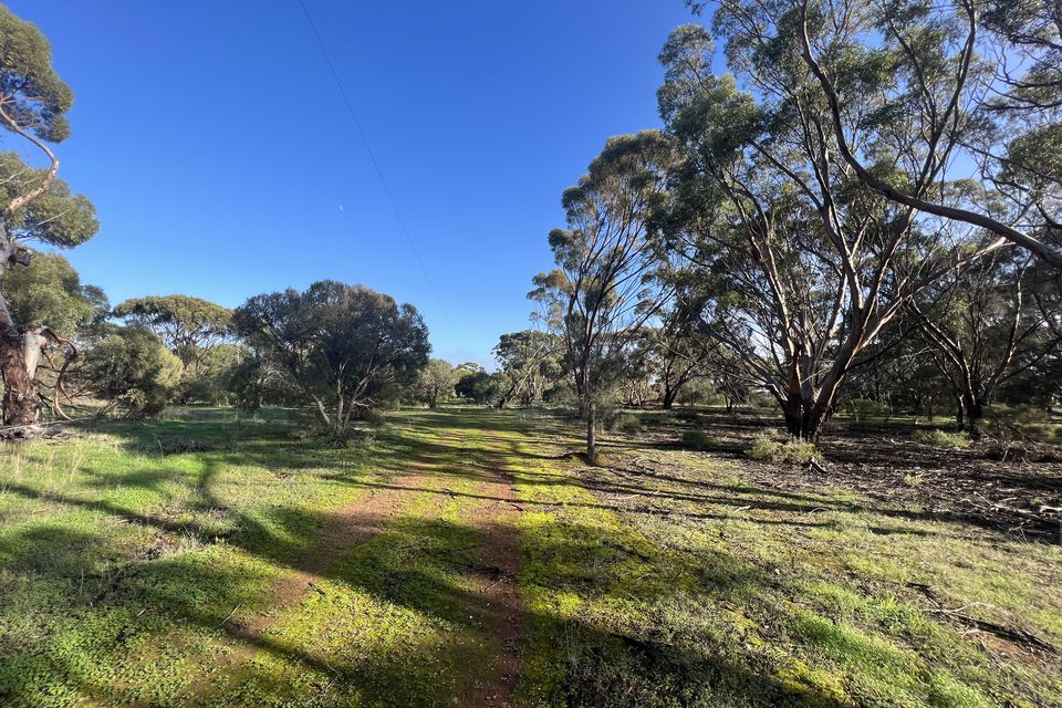 1009 Monarto Road, Monarto