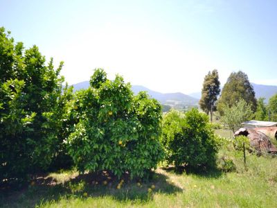 40 Kiewa Valley Highway , Tawonga