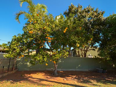 10 Craig Street, Port Hedland