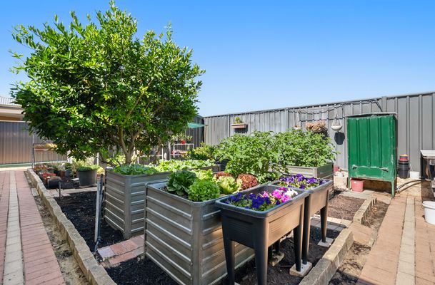 17 Bettong Street, Baldivis