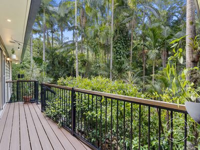 11 Annie Street, Landsborough