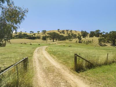 Lot 1 76 Kiernans Road , Bonnie Doon