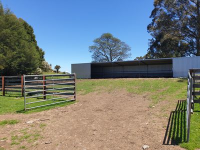 Lot 1 (99 Acres), Coal Mine Road, Kaoota