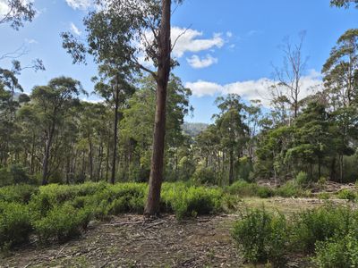 Lot 2, Off Paddys Lane, Franklin
