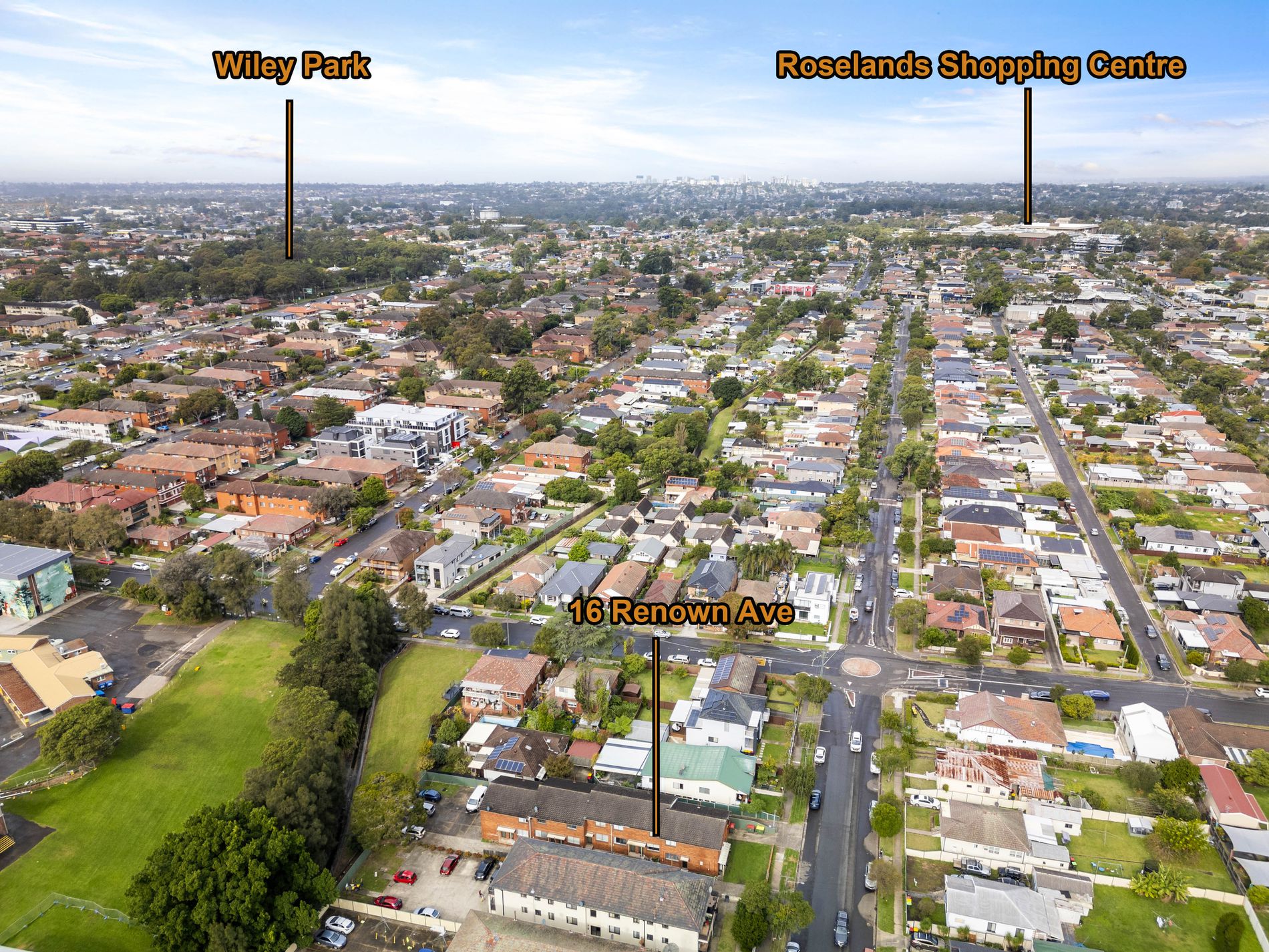 16 Renown Avenue, Wiley Park