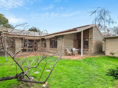 86 Hampton Street South, Goodwood