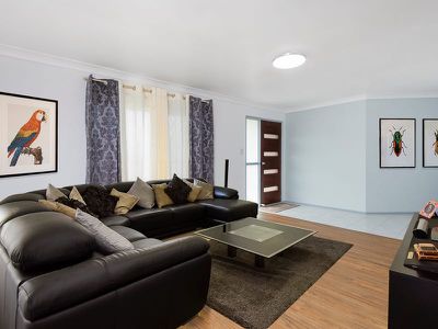 8 Allspice Street, Crestmead