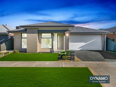 17 Mottlecah Circuit, Craigieburn