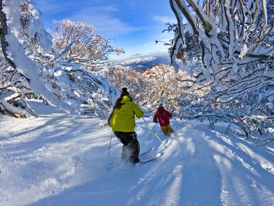 Lot 1, Mt Buller Road, Merrijig